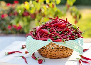cayenne-peppers-2779828_960_720